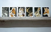 Image of 'Woodland Animal Collection'  