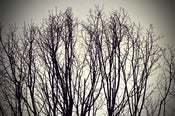 Image of Hello Winter