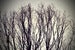 Image of Hello Winter