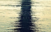 Image of Stream