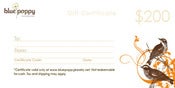 Image of $200 Gift Certificate