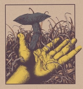 Image of FINITE VARIANT