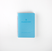 Image of pretend passports
