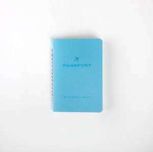 Image of pretend passports