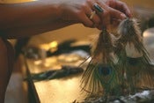 Image of Feather Earrings