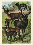 Image of Set of Great North Stationary