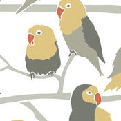 Image of lovebirds wallpaper