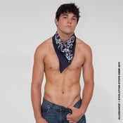 Image of Allegiance (Bandana)