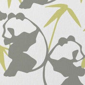 Image of panda wallpaper