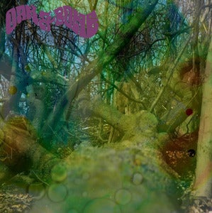 Image of OAK & BONE s/t LP