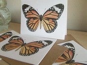 Image of monarch notes