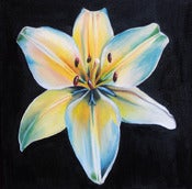 Image of Lily 