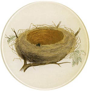 Image of Nest Plate
