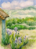 Image of Irises. France
