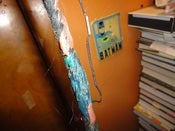 Image of Pro wrestling merch: Strand of Scary Garry Hair
