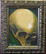 Image of Skull