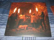 Image of Francis Harold and the Holograms "Who Said These Were Happy Times?" LP