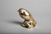 Image of Matthew Darbyshire, Goldfinch, 2011 SOLD OUT