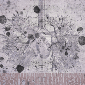 Image of Thirty Called Arson<br><i>You're Only A Rebel From The Waist Downward</i> CD