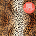 Image of Radioclit - Secousse Pack (2x12")