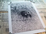 Image of Man Vs Nature