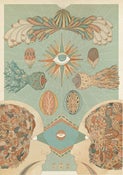 Image of Synesthesia Giclee Print #1: ophthalmoception // sight