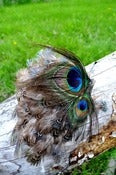 Image of Peacock Feather Headband