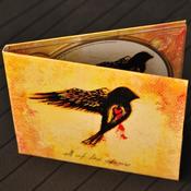 Image of Album - CD