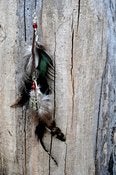 Image of Thunderbird Feather Earring