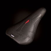 Image of Nigel Sylvester's signature pivotal