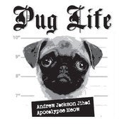 Image of Andrew Jackson Jihad / Apocalypse Meow - Split - 7" Vinyl