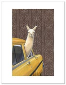 Image of Taxi Llama