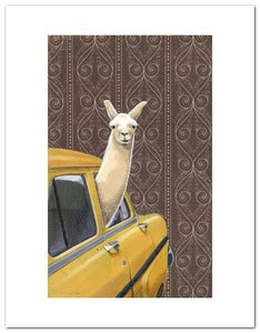 Image of Taxi Llama