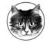 Image of The Cat With the Glow in the Dark Eyes