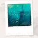 Image of Giclee Art Print: Her Destiny Handmade inspirational art