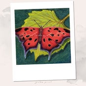 Image of Butterfly Dance Giclee Art Print