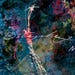 Image of Freedom Feather Giclee Art Print