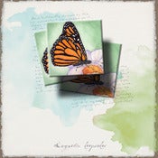 Image of Inspirational Art Magnets Handmade: Butterfly Dances on Flower