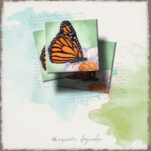 Image of Inspirational Art Magnets Handmade: Butterfly Dances on Flower