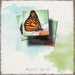 Image of Inspirational Art Magnets Handmade: Butterfly Dances on Flower