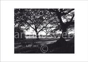 Image of Earth-Glebe Land
