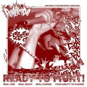 Image of RYR distro VINYL RECORDS
