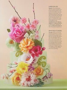 Image of Vibrant Cake Kit