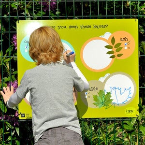 Image of LEAVES I Spy Boards