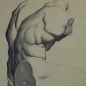 Image of Belvedere Torso
