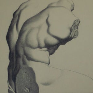 Image of Belvedere Torso