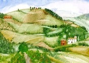 Image of Vineyards, Chianti, Italy