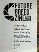 Image of Future Breed Zine - Sound And Fury 2010