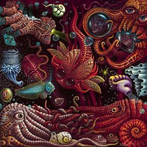 Image of "CRUSTACEAPODS" ~ Open Signed Edition