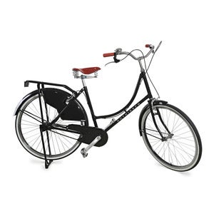 Image of Traditional Women's Bicycle